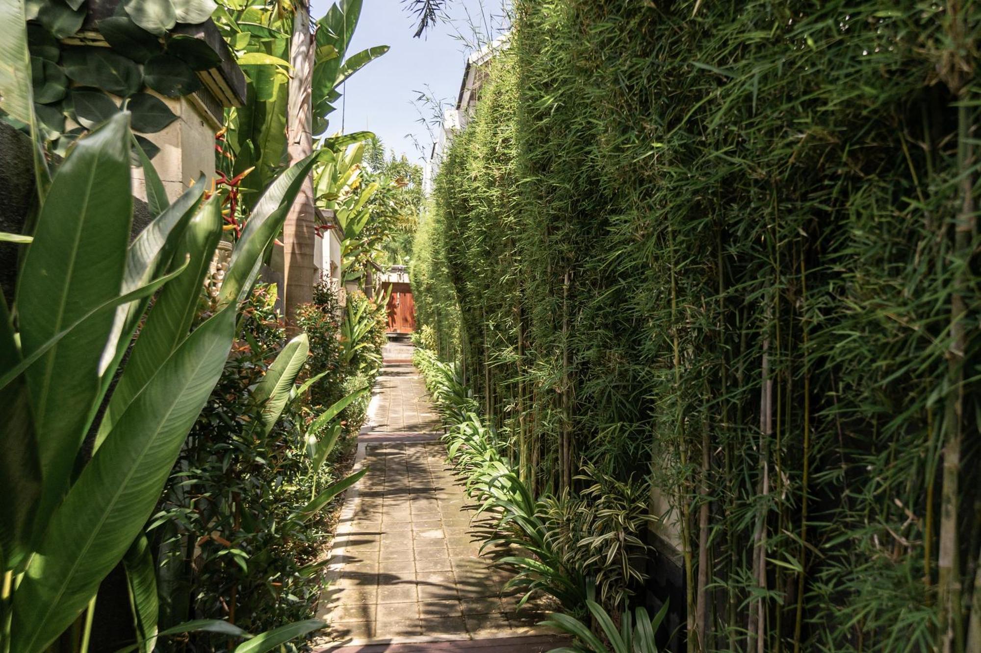 Villa Belle Asana à Canggu Extérieur photo